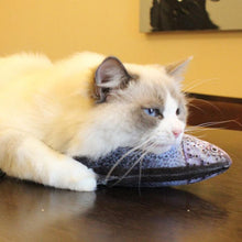 Load image into Gallery viewer, 1:1 Fish Toy for Cats