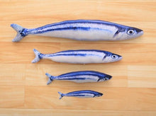 Load image into Gallery viewer, 1:1 Fish Toy for Cats