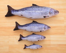 Load image into Gallery viewer, 1:1 Fish Toy for Cats