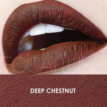 Load image into Gallery viewer, FOCALLURE Matte Lipgloss Sexy Liquid Lip